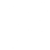 Free Shipping icon white