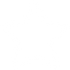 Star icon white