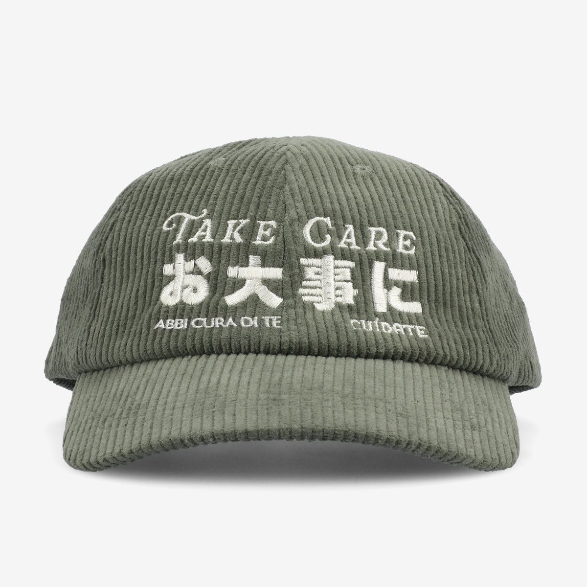 Corduroy Care Collection Hat in Sage