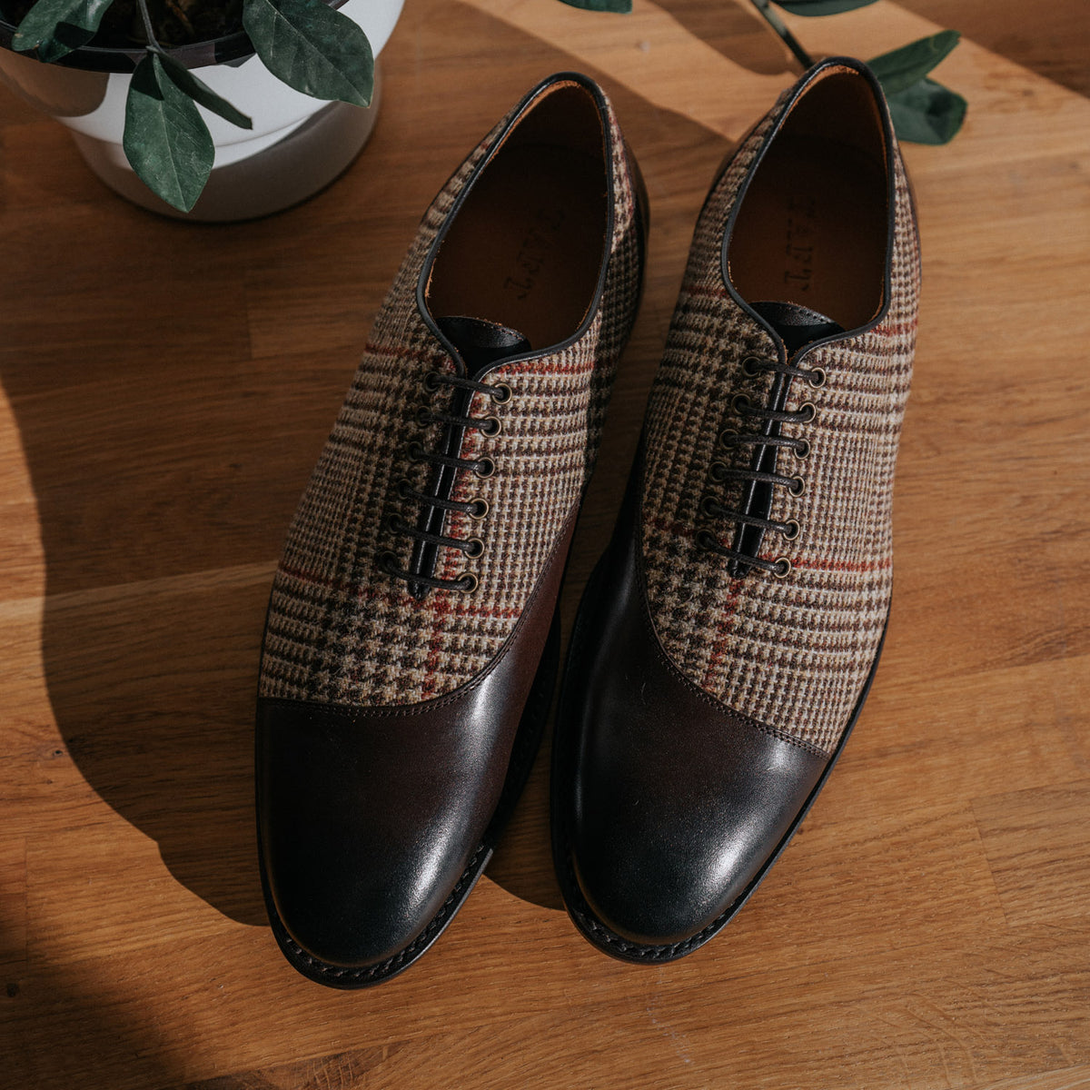 A pair of leather shoes with a houndstooth pattern on a wooden floor near a small potted plant.